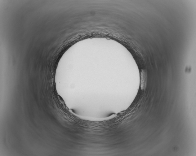 X0000096441491200802211158