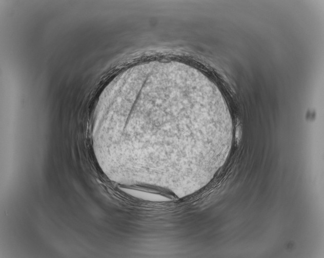 X0000096441492200802211158