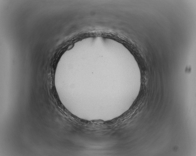 X0000096441493200802211158