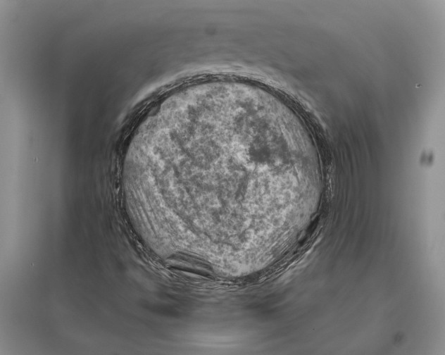 X0000096441494200802211158