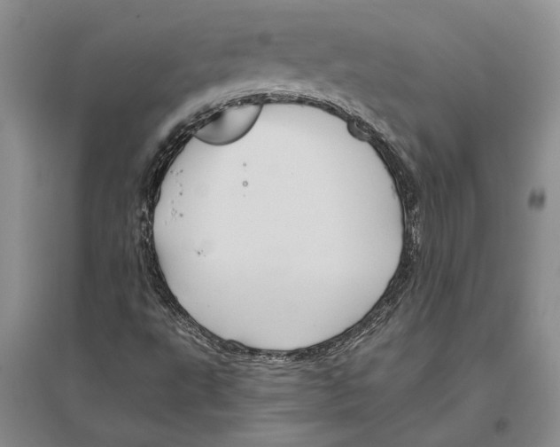 X0000096441495200802211158