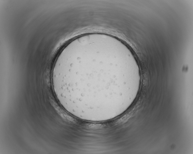 X0000096441499200802211158