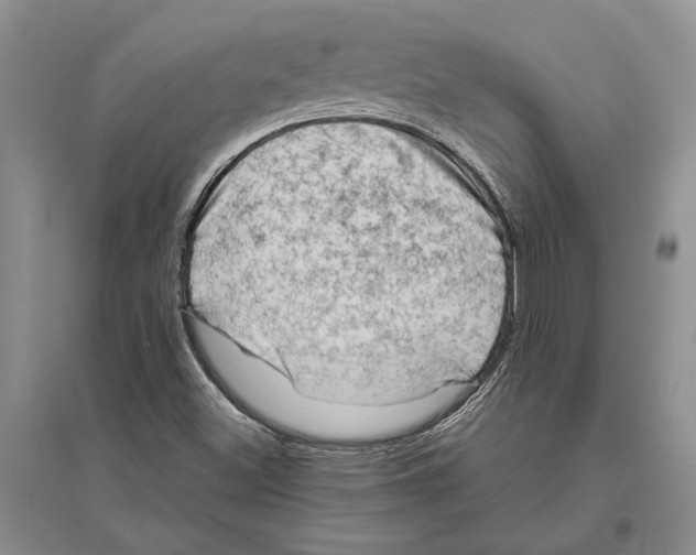 X0000096441500200802211158