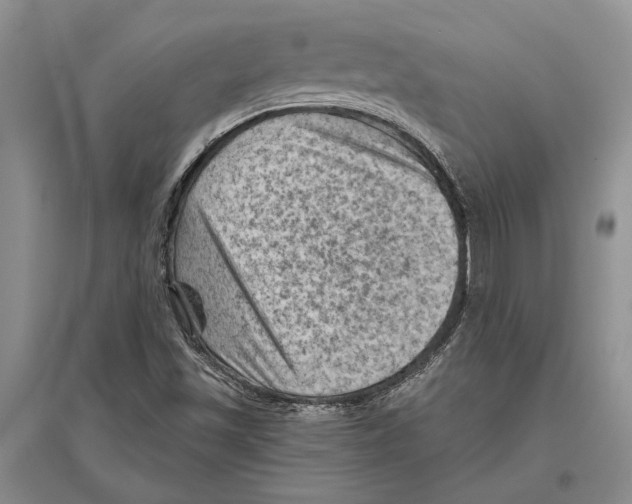 X0000096441501200802211158