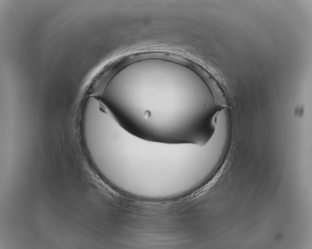 X0000096441502200802211158