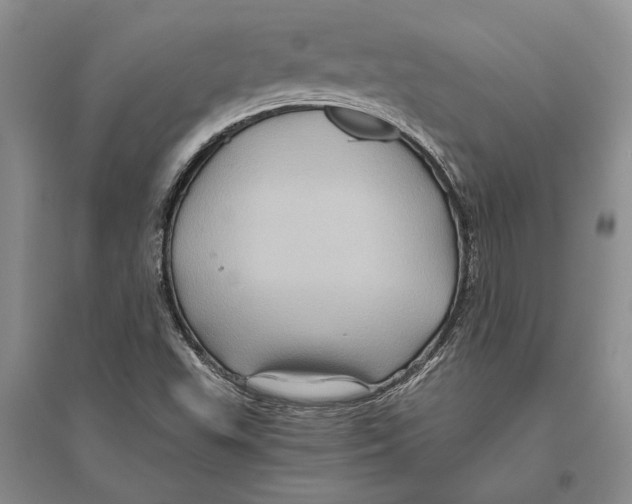 X0000096441503200802211158