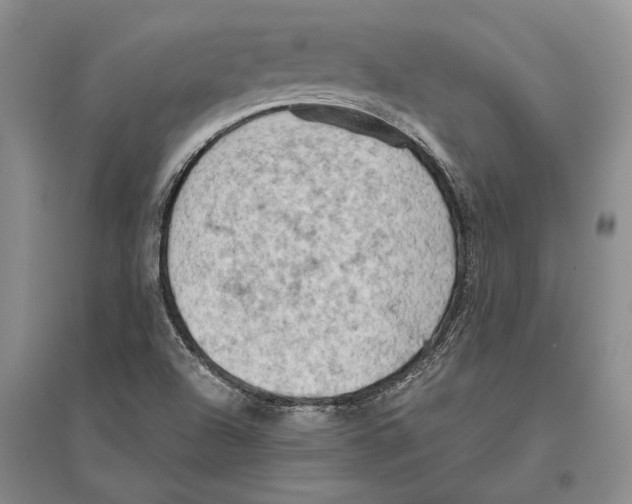 X0000096441504200802211158