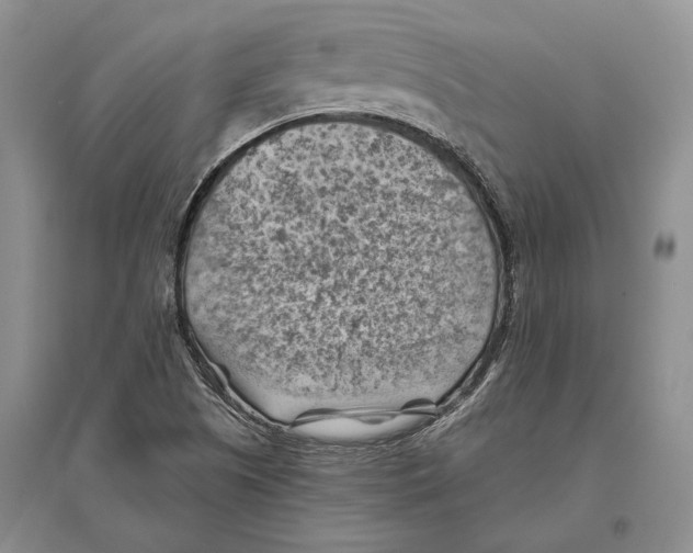 X0000096441505200802211158