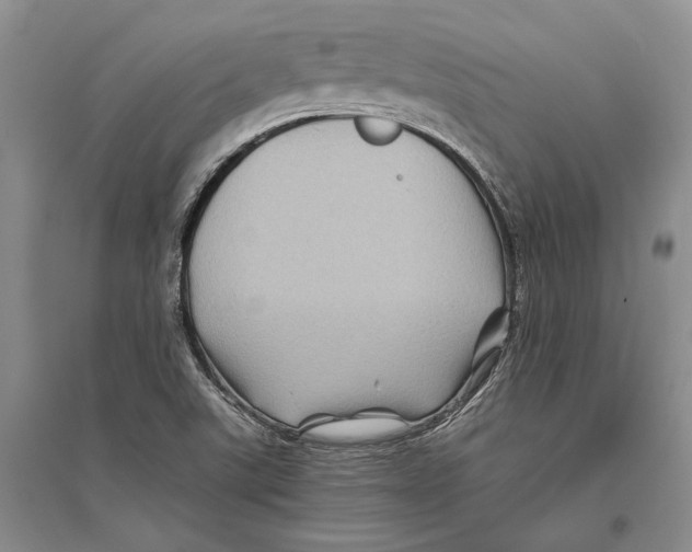 X0000096441507200802211158