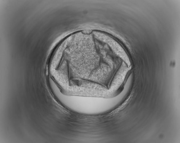 X0000096441509200802211158