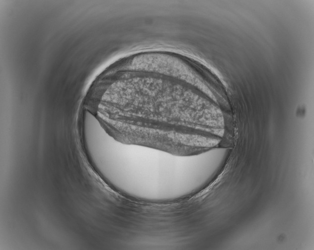 X0000096441510200802211158