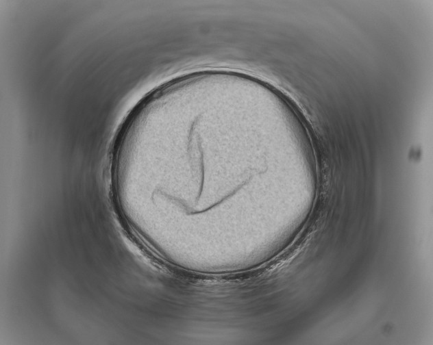 X0000096441511200802211158