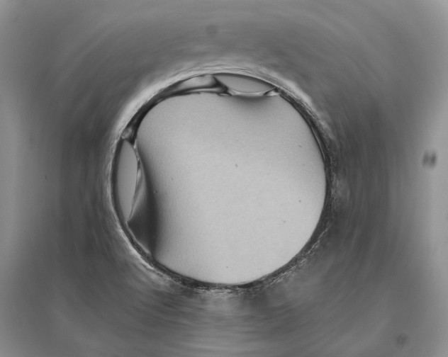 X0000096441512200802211158