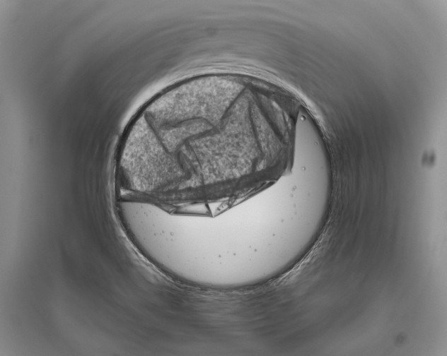 X0000096441514200802211158