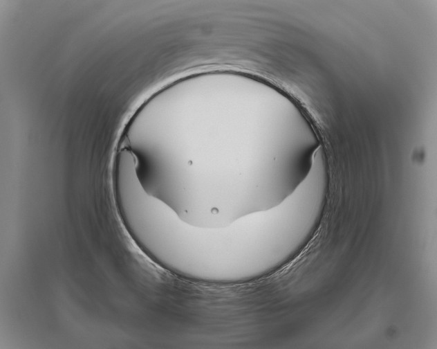 X0000096441516200802211158