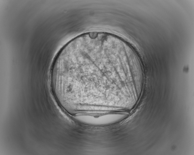 X0000096441517200802211158