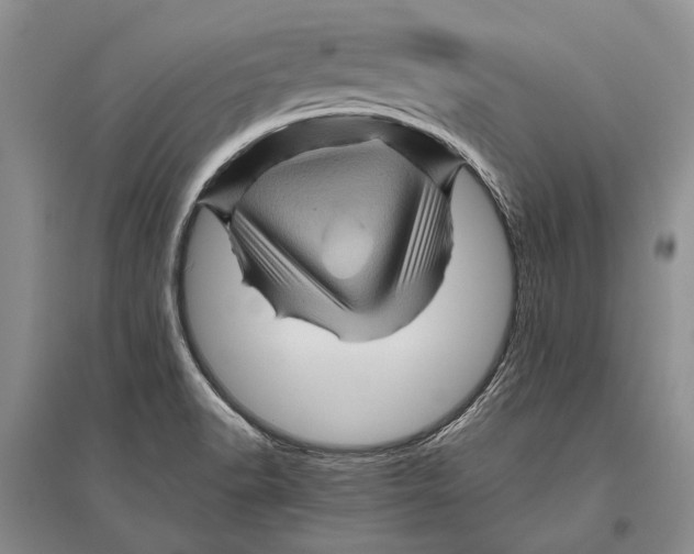 X0000096441518200802211158