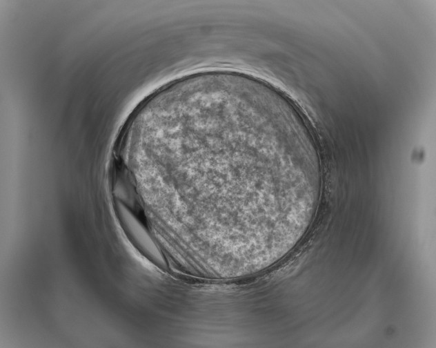 X0000096441519200802211158