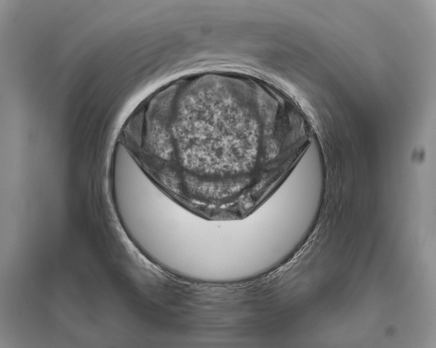 X0000096441520200802211158