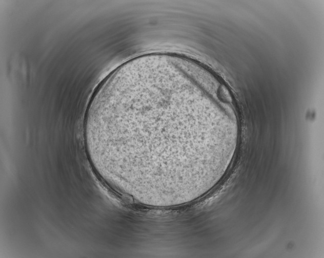 X0000096441521200802211158