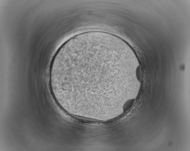 X0000096441523200802211158