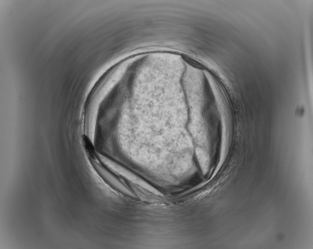 X0000096441524200802211158