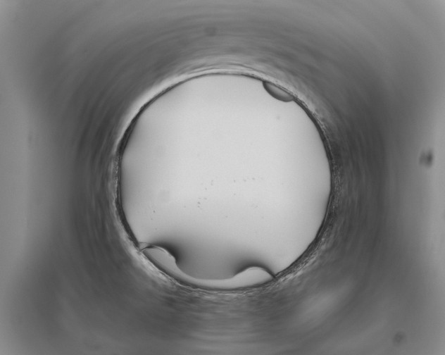 X0000096441526200802211158