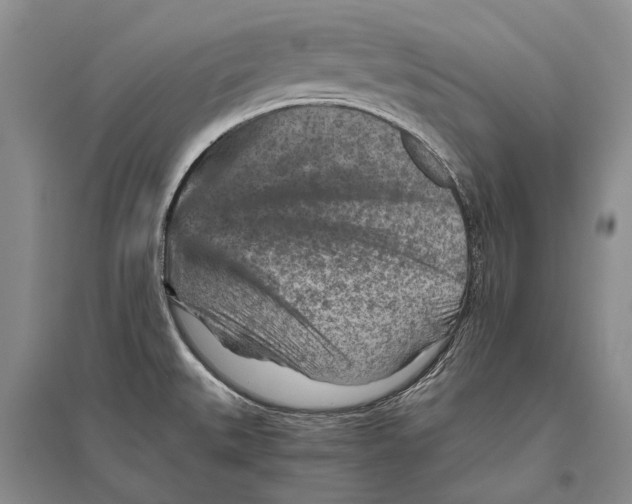 X0000096441527200802211158