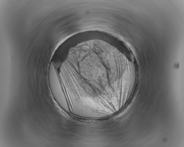 X0000096441529200802211158