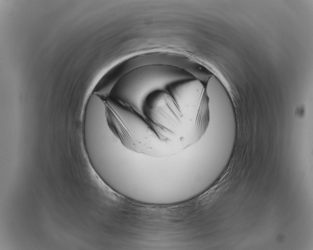 X0000096441532200802211158