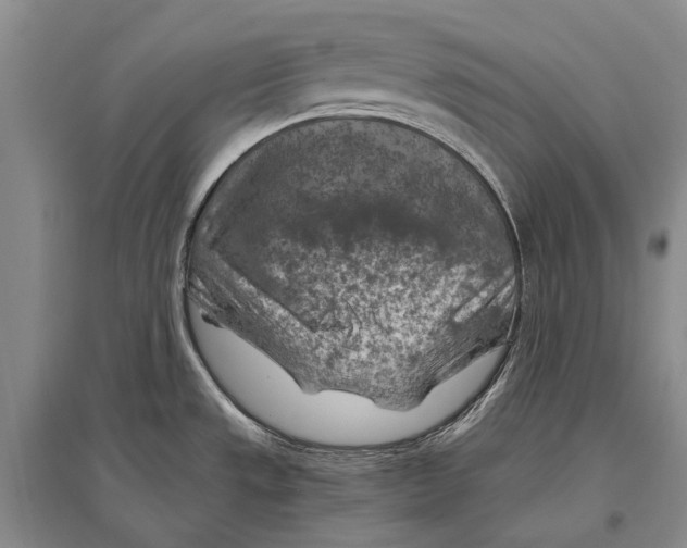 X0000096441533200802211158