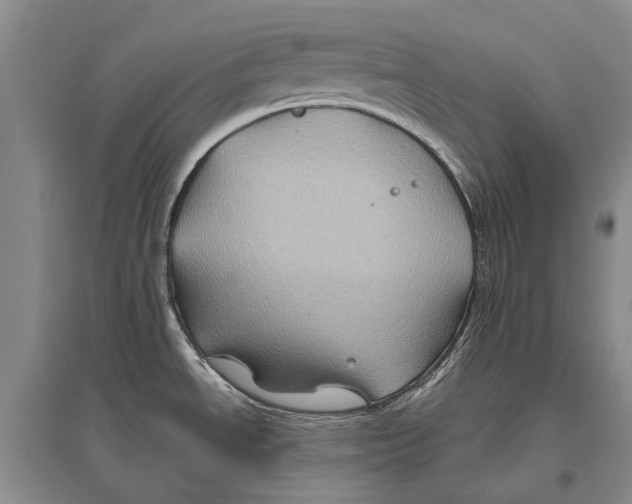 X0000096441534200802211158