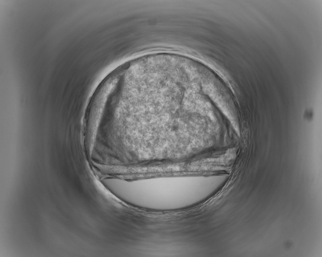 X0000096441535200802211158