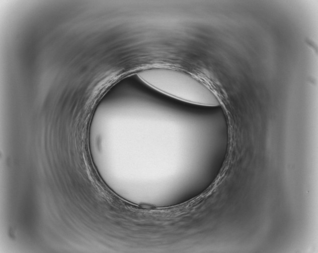 X0000096450001200801241150