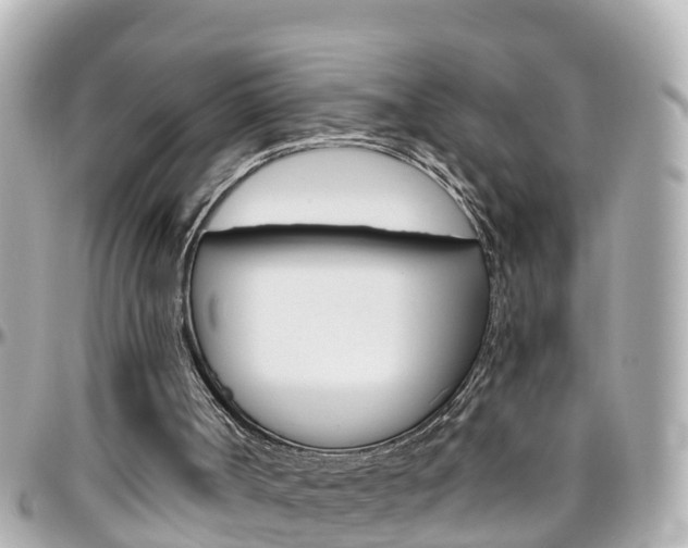 X0000096450002200801241150