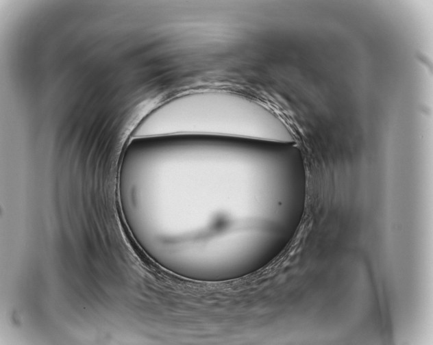X0000096450003200801241150