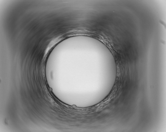 X0000096450004200801241150