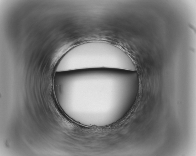X0000096450005200801241150