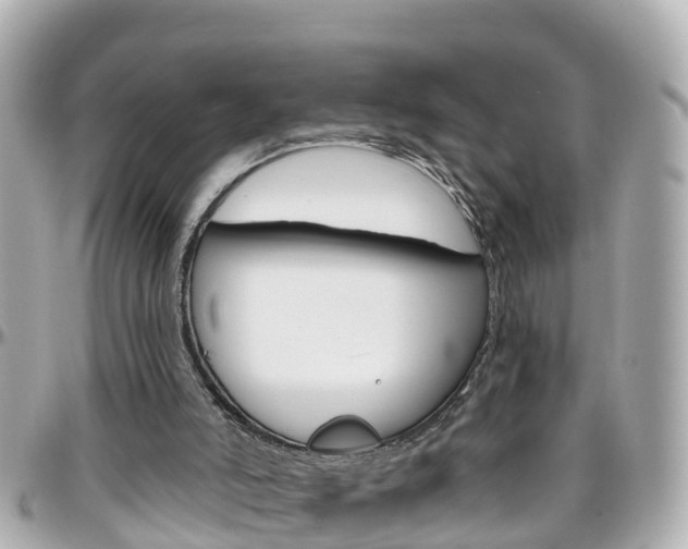 X0000096450006200801241150