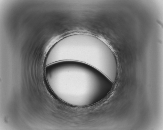 X0000096450007200801241150