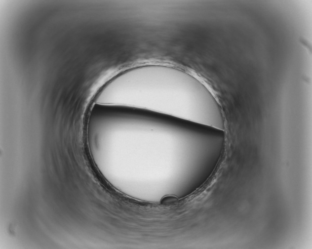 X0000096450008200801241150