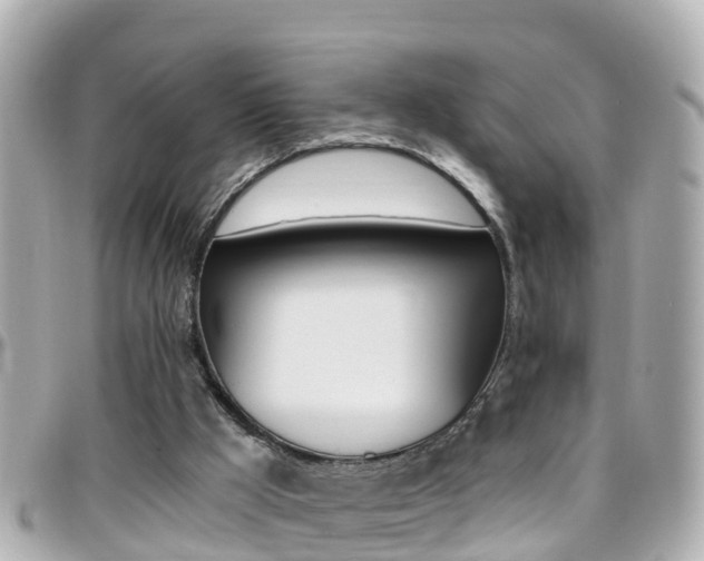 X0000096450009200801241150