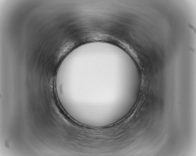 X0000096450010200801241150