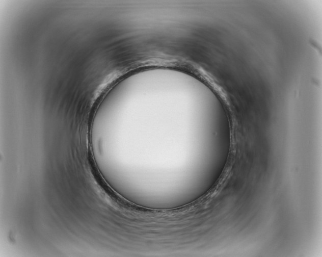X0000096450011200801241150