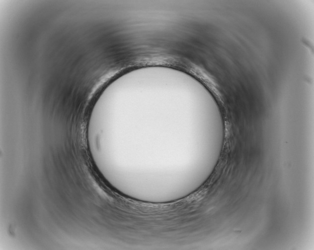 X0000096450012200801241150