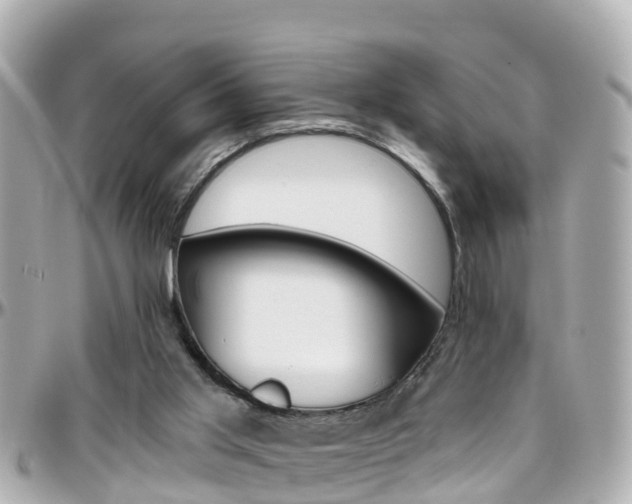 X0000096450013200801241150