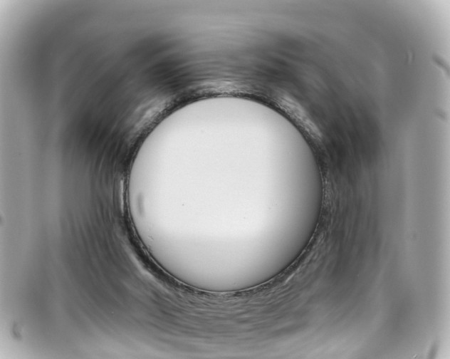 X0000096450014200801241150