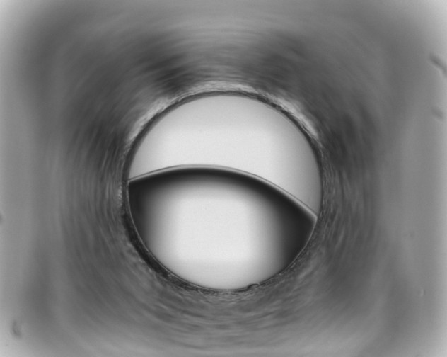 X0000096450015200801241150