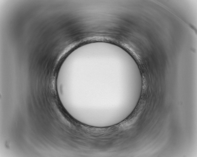 X0000096450016200801241150
