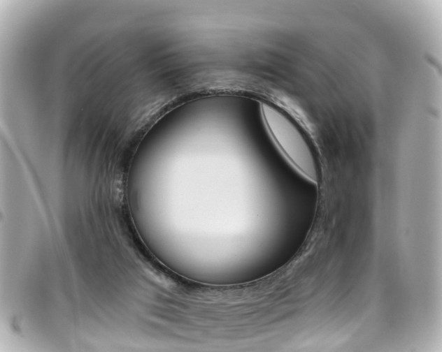 X0000096450017200801241150